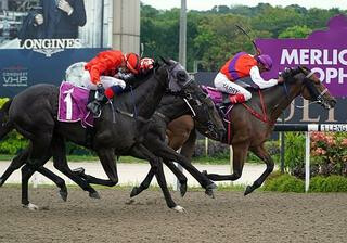 Excelling (Manhattan Rain) claimed the Listed Merlion Trophy (1200m) at Kranji. 